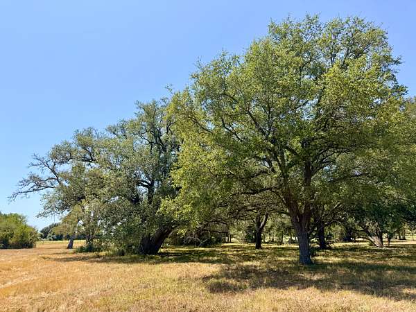 3.63 Acres of Land for Sale in Caldwell, Texas