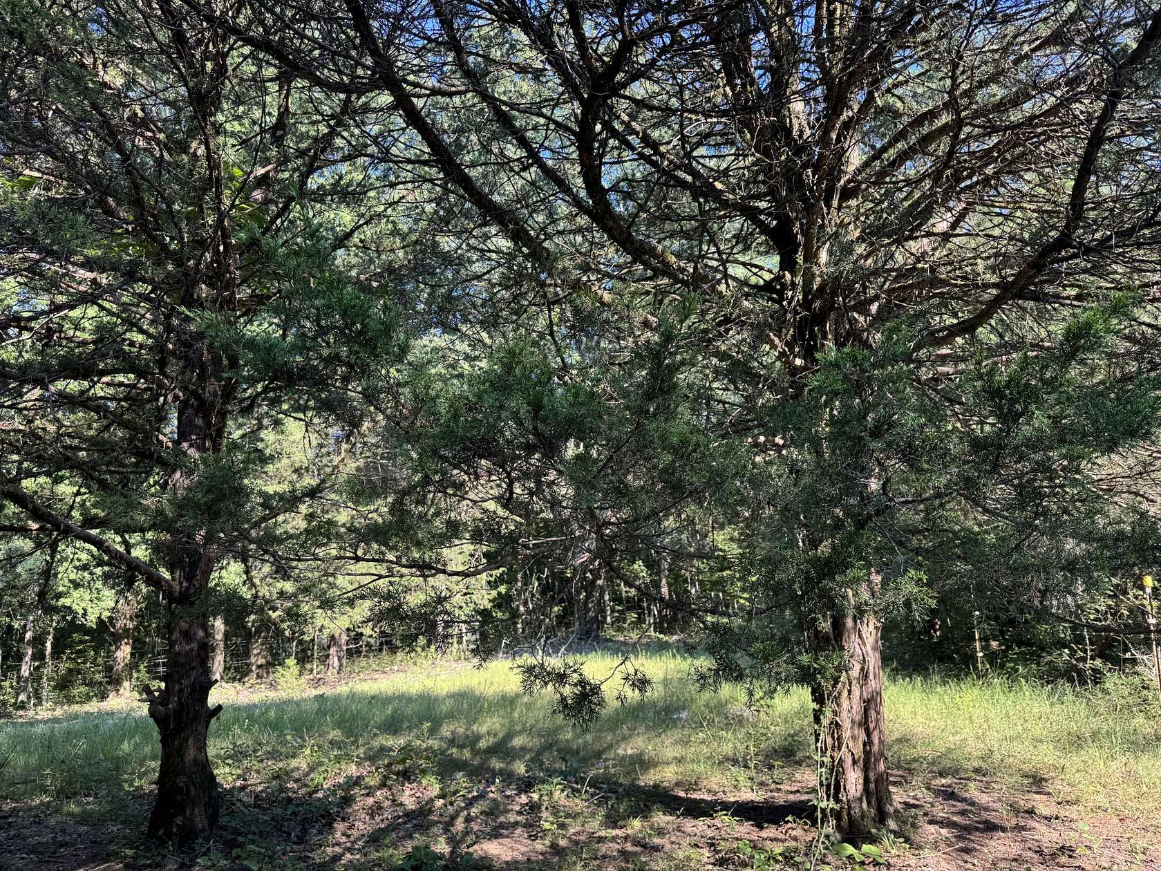 7.17 Acres of Land for Sale in Chapel Hill, Tennessee