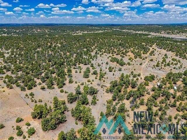 19.4 Acres of Land for Sale in Pinehill, New Mexico