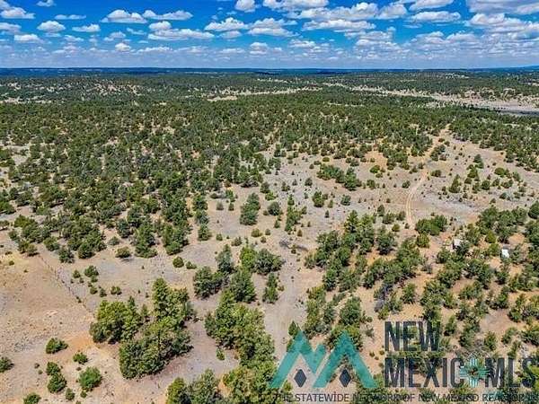19.4 Acres of Land for Sale in Pinehill, New Mexico