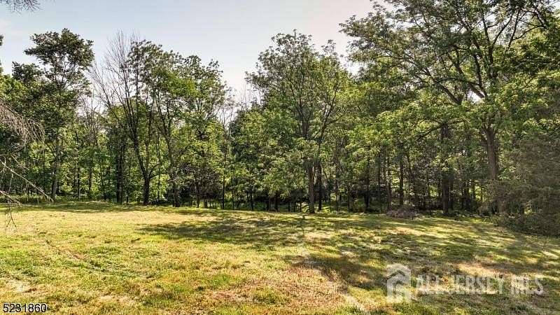 5.76 Acres of Residential Land for Sale in White House Station, New Jersey