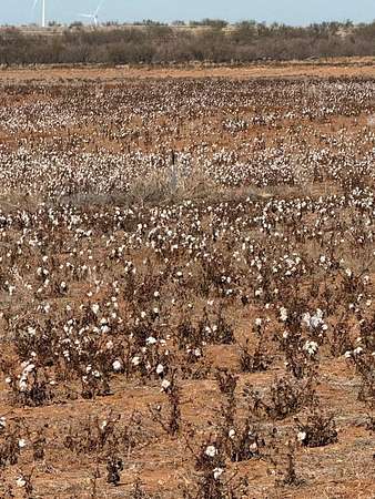 95.4 Acres of Land for Sale in Hermleigh, Texas