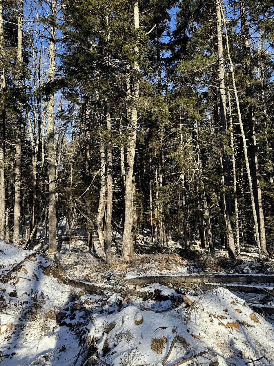 2.55 Acres of Residential Land for Sale in Bristol, Maine