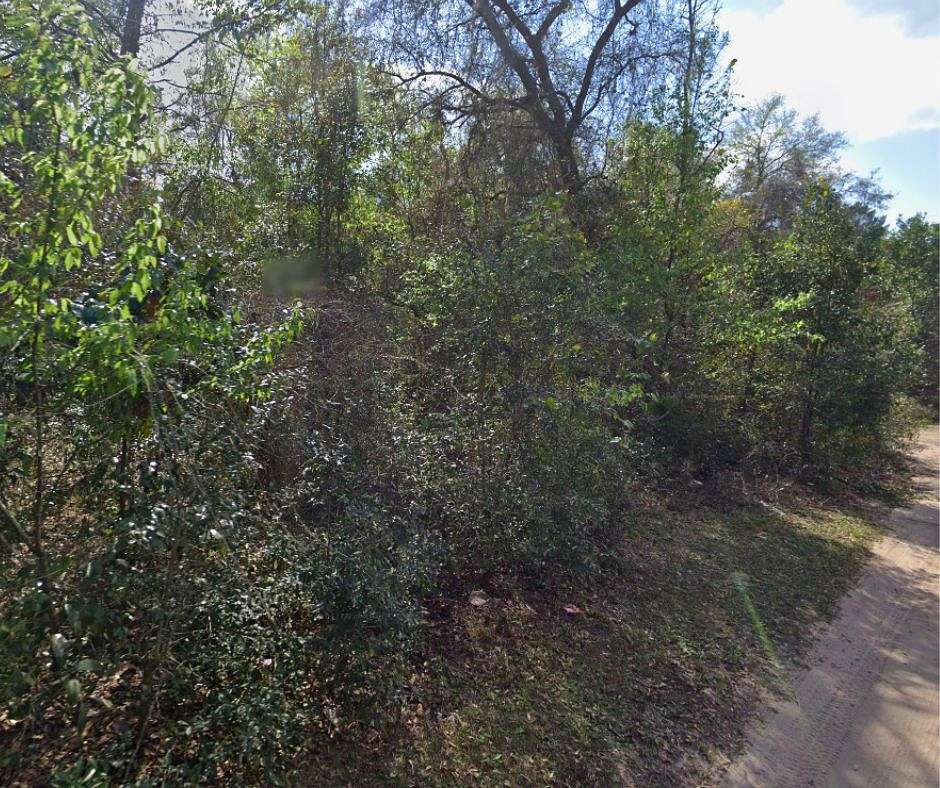 0.34 Acres of Residential Land for Sale in Umatilla, Florida