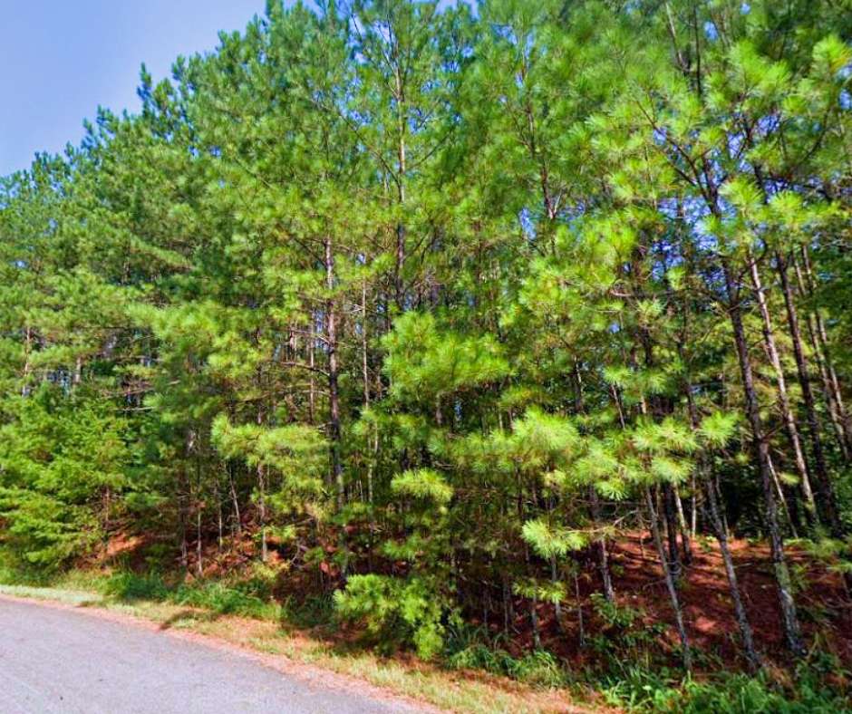 1.23 Acres of Residential Land for Sale in Ranger, Georgia