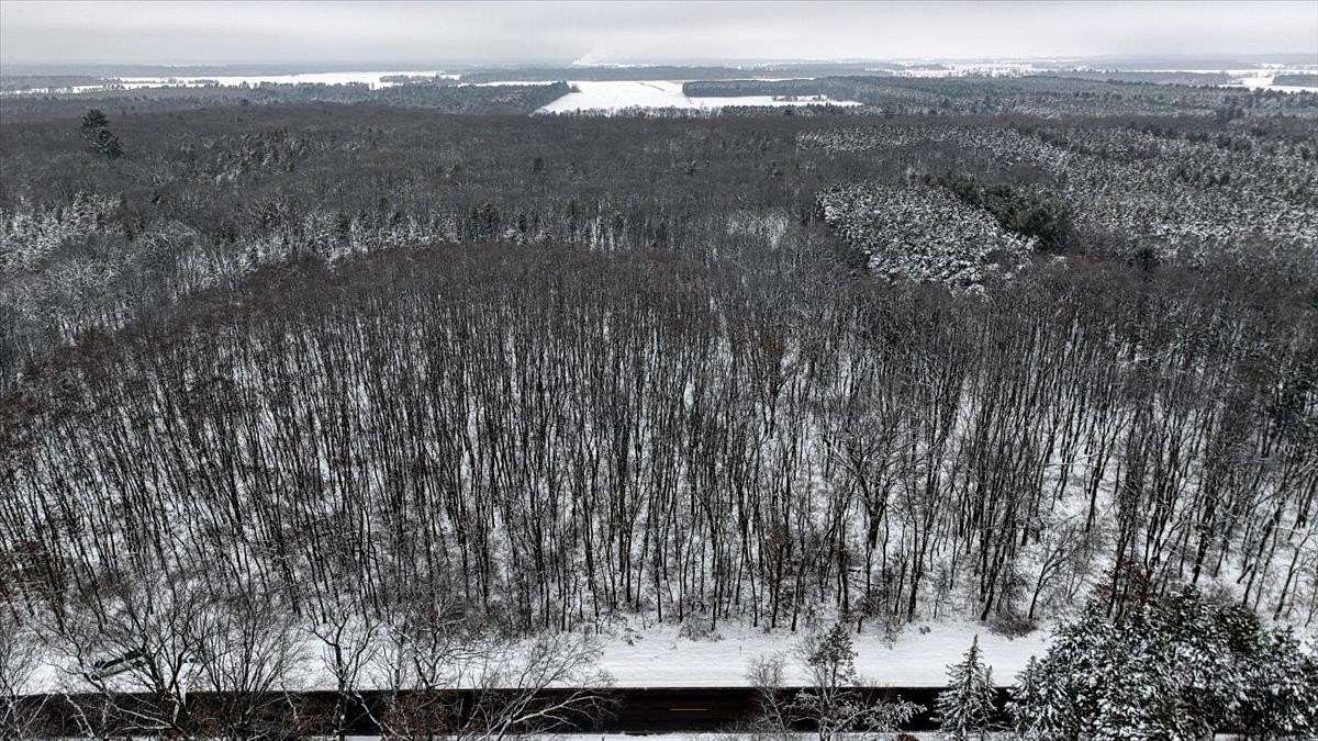 13 Acres of Recreational Land for Sale in Grand Marsh, Wisconsin