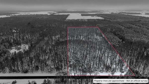 13 Acres of Recreational Land for Sale in Grand Marsh, Wisconsin