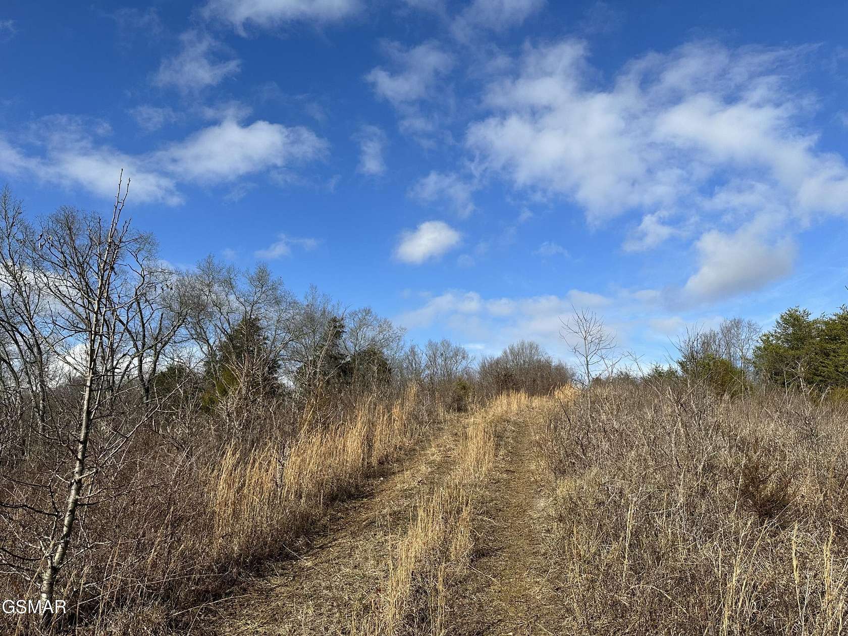 48.6 Acres of Land for Sale in Sevierville, Tennessee