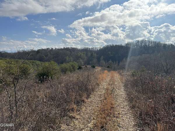 48.6 Acres of Recreational Land for Sale in Sevierville, Tennessee