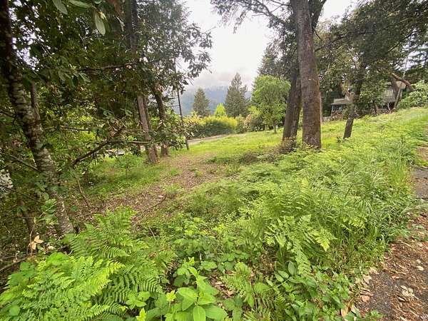 0.24 Acres of Residential Land for Sale in Willow Creek, California