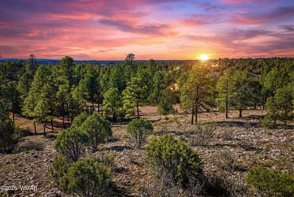 1 Acre of Residential Land for Sale in Overgaard, Arizona