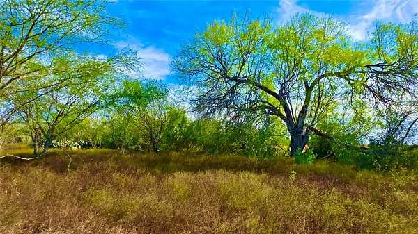 Residential Land for Sale in Runge, Texas