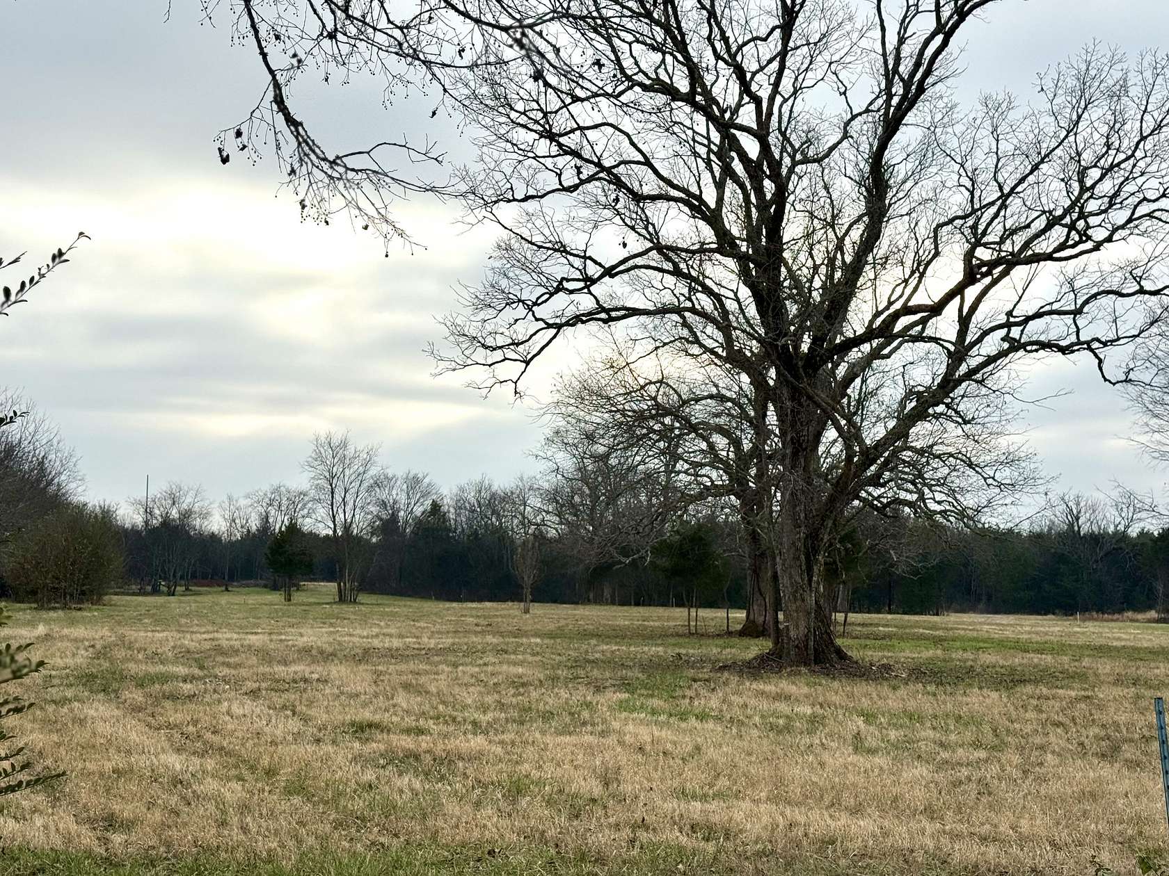 6 Acres of Residential Land for Sale in Lebanon, Tennessee