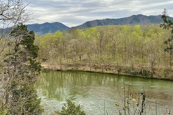 7 Acres of Agricultural Land for Sale in Del Rio, Tennessee