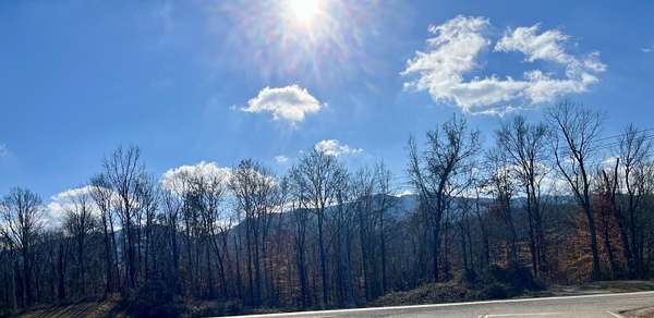 7 Acres of Agricultural Land for Sale in Del Rio, Tennessee