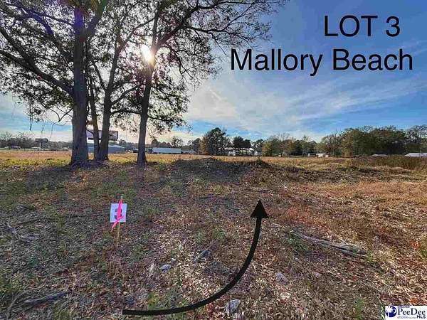 0.85 Acres of Mixed-Use Land for Sale in Latta, South Carolina