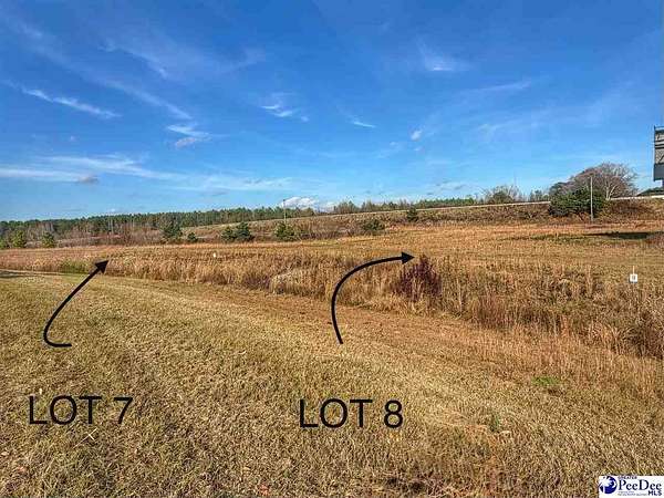 1 Acre of Mixed-Use Land for Sale in Latta, South Carolina