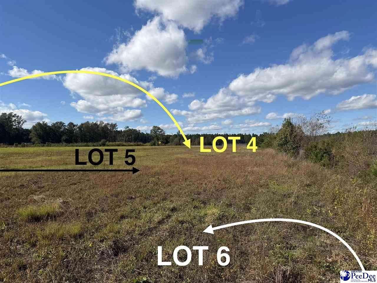 0.81 Acres of Residential Land for Sale in Latta, South Carolina