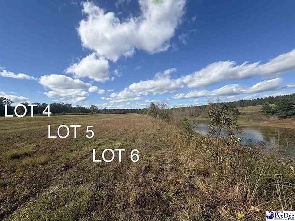 0.96 Acres of Residential Land for Sale in Latta, South Carolina