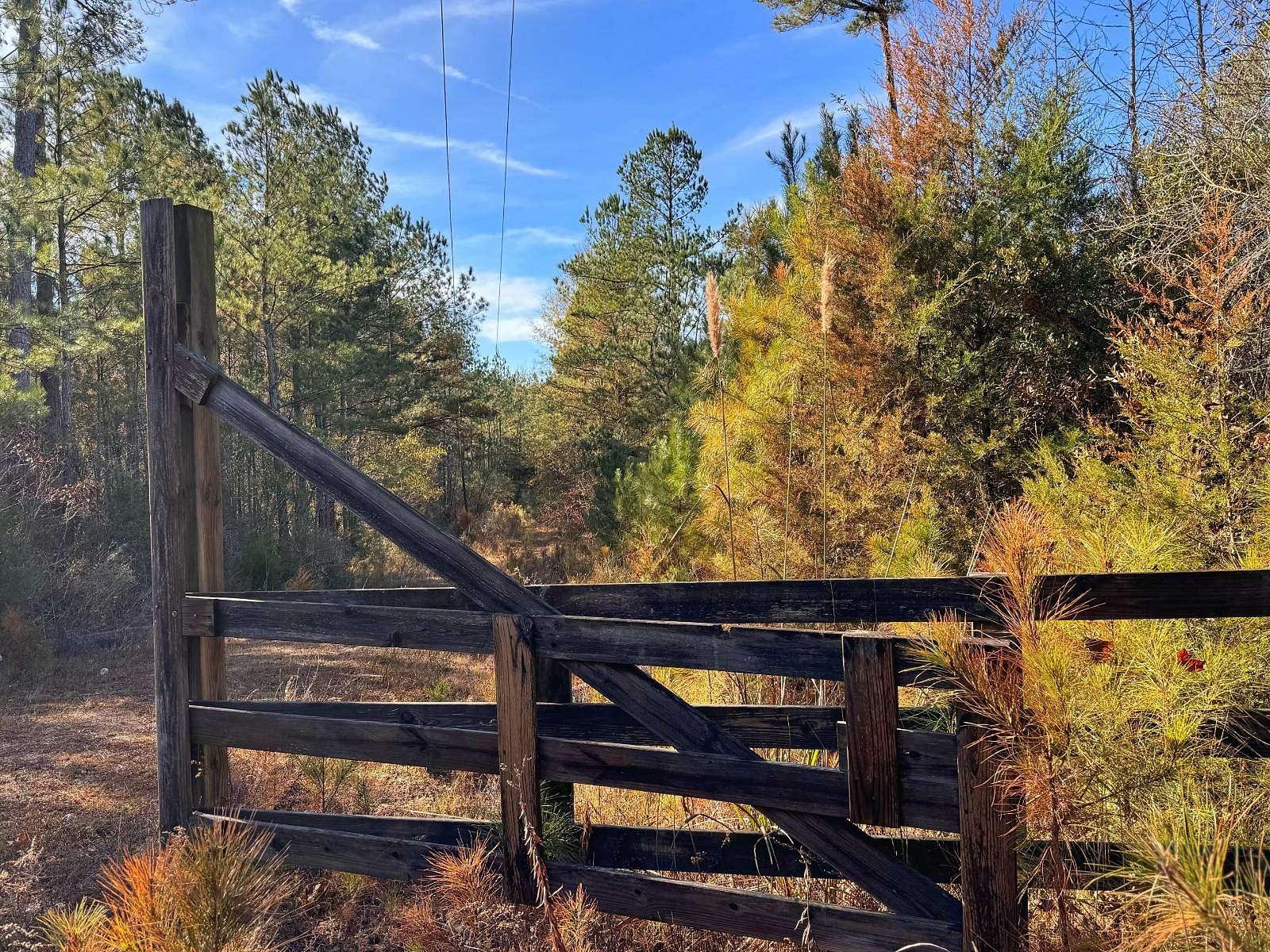 47 Acres of Land for Sale in Reform, Alabama