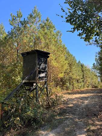 35 Acres of Recreational Land & Farm for Sale in Cuba, Alabama