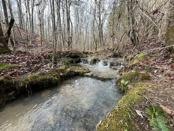 158 Acres of Recreational Land for Sale in Decatur, Tennessee