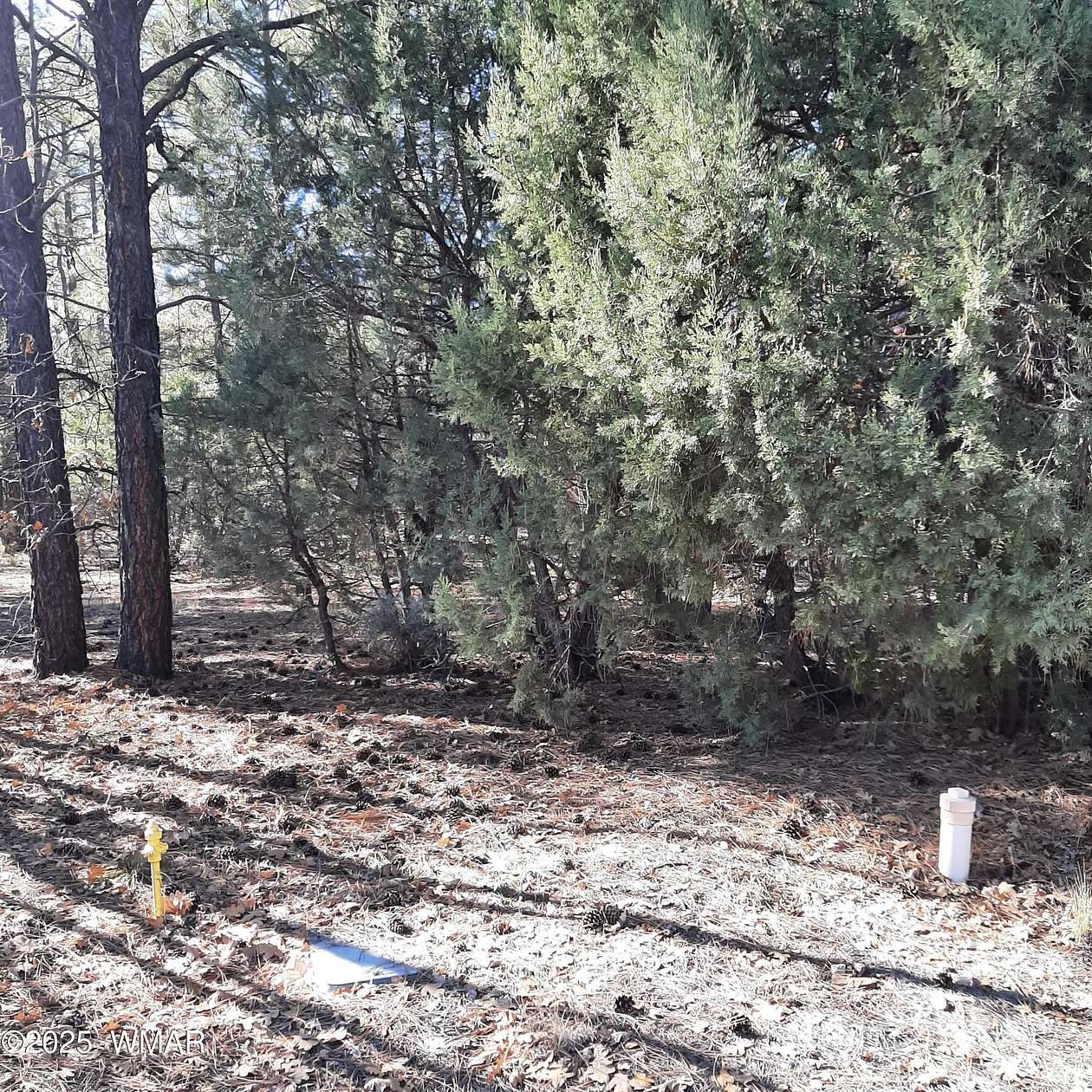 0.25 Acres of Residential Land for Sale in Show Low, Arizona