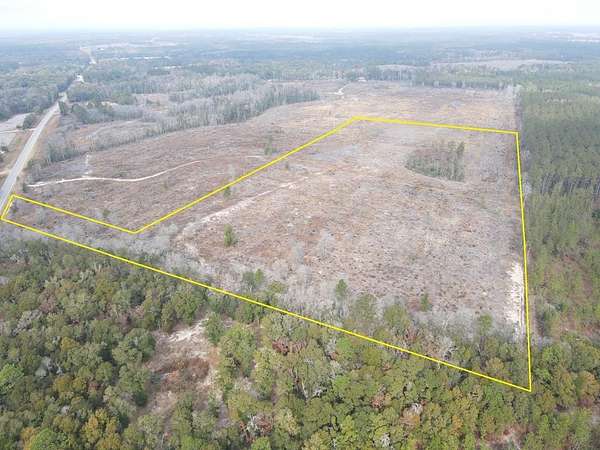 25 Acres of Land for Sale in Samson, Alabama