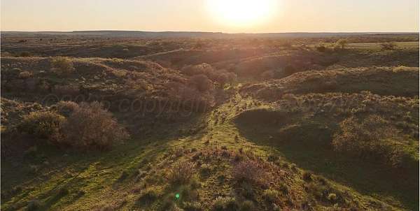 647 Acres of Recreational Land & Farm for Sale in Memphis, Texas