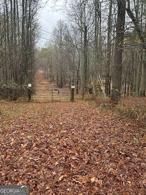 7 Acres of Residential Land for Sale in Hampton, Georgia