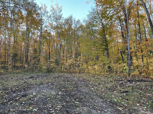 0.36 Acres of Land for Sale in Cheboygan, Michigan