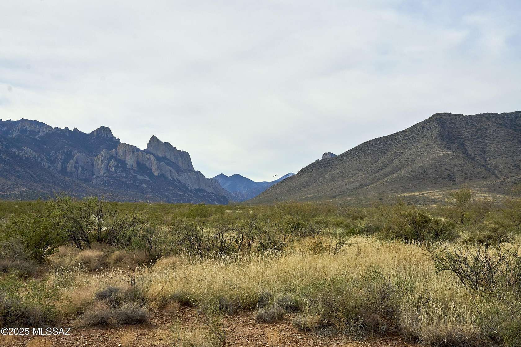 6 Acres of Residential Land for Sale in Portal, Arizona