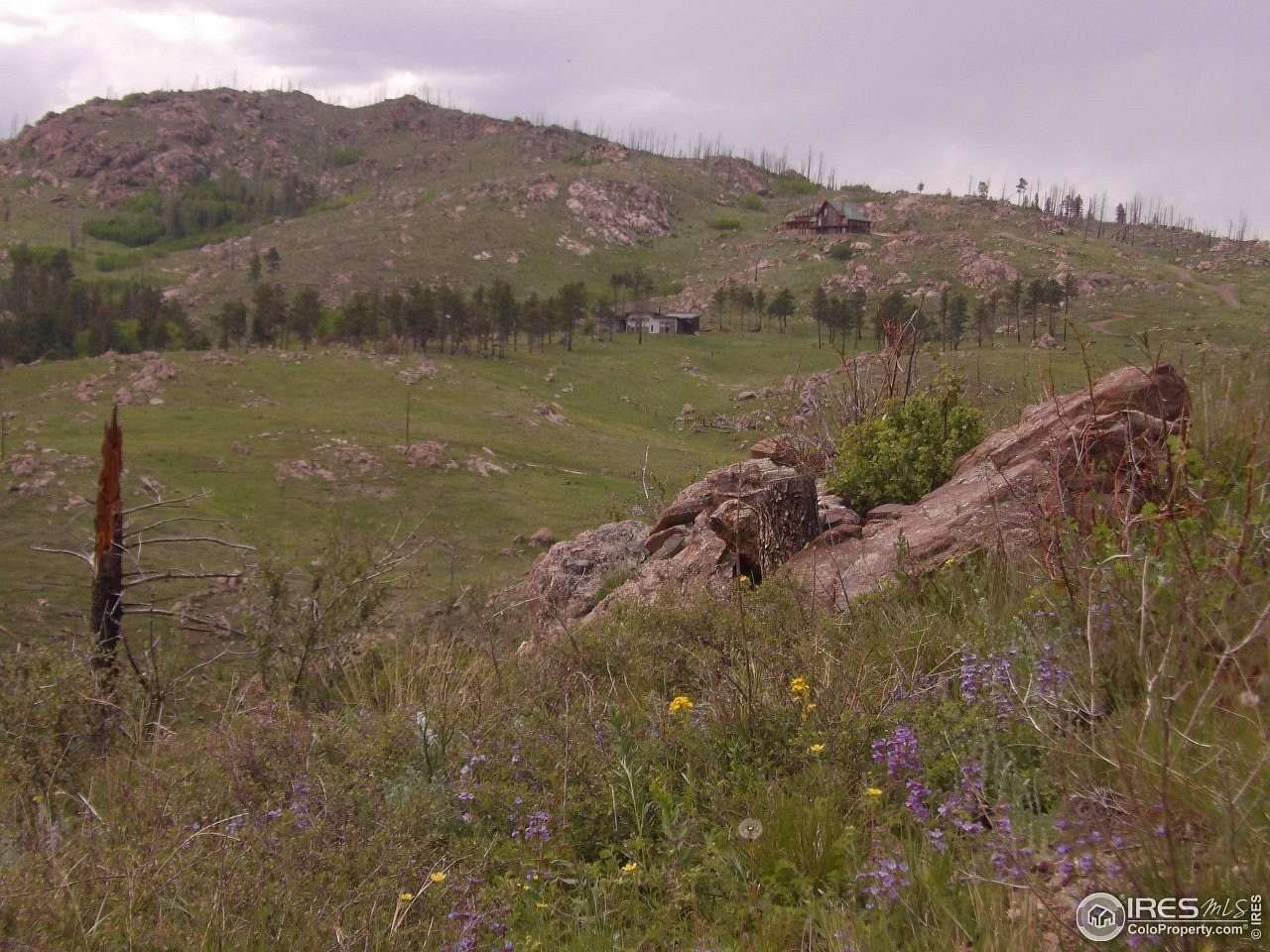 5.38 Acres of Residential Land for Sale in Bellvue, Colorado