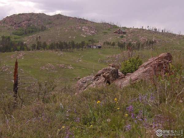 5.38 Acres of Residential Land for Sale in Bellvue, Colorado
