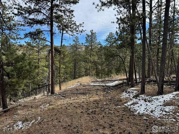 18.8 Acres of Recreational Land for Sale in Bellvue, Colorado