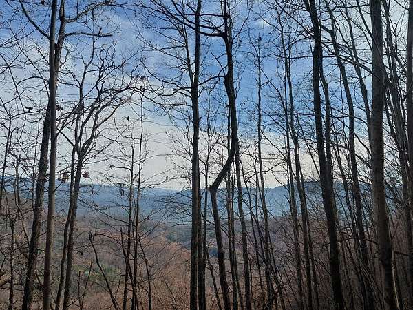 1 Acre of Land for Sale in Bryson City, North Carolina