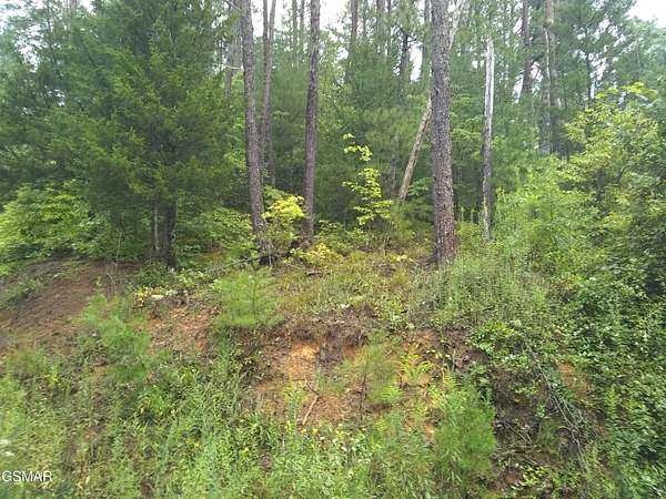 1.5 Acres of Residential Land for Sale in Sevierville, Tennessee