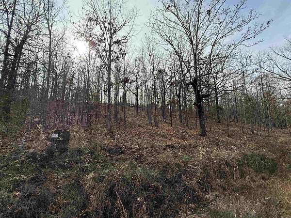 2.14 Acres of Residential Land for Sale in Austin, Arkansas