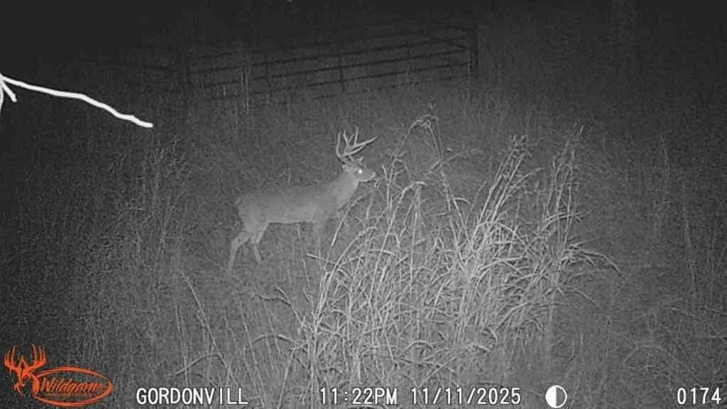 4 Acres of Residential Land for Sale in Gordonville, Texas