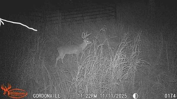 4 Acres of Residential Land for Sale in Gordonville, Texas