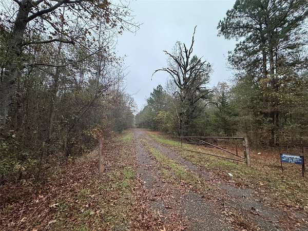 46.7 Acres of Agricultural Land for Sale in Tyler, Texas