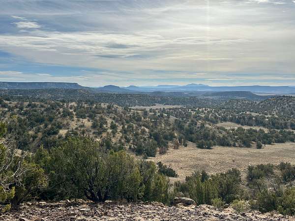 257 Acres of Recreational Land & Farm for Sale in Fence Lake, New Mexico