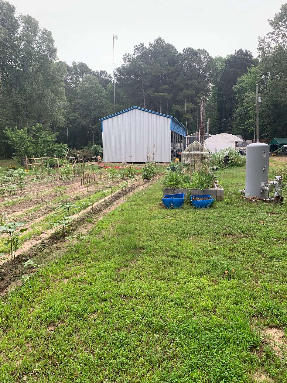 18 Acres of Improved Recreational Land & Farm for Sale in Naples, Texas