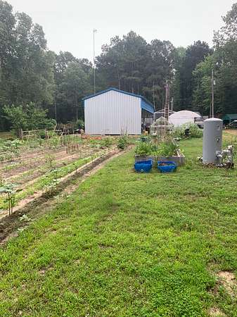 18 Acres of Improved Recreational Land & Farm for Sale in Naples, Texas