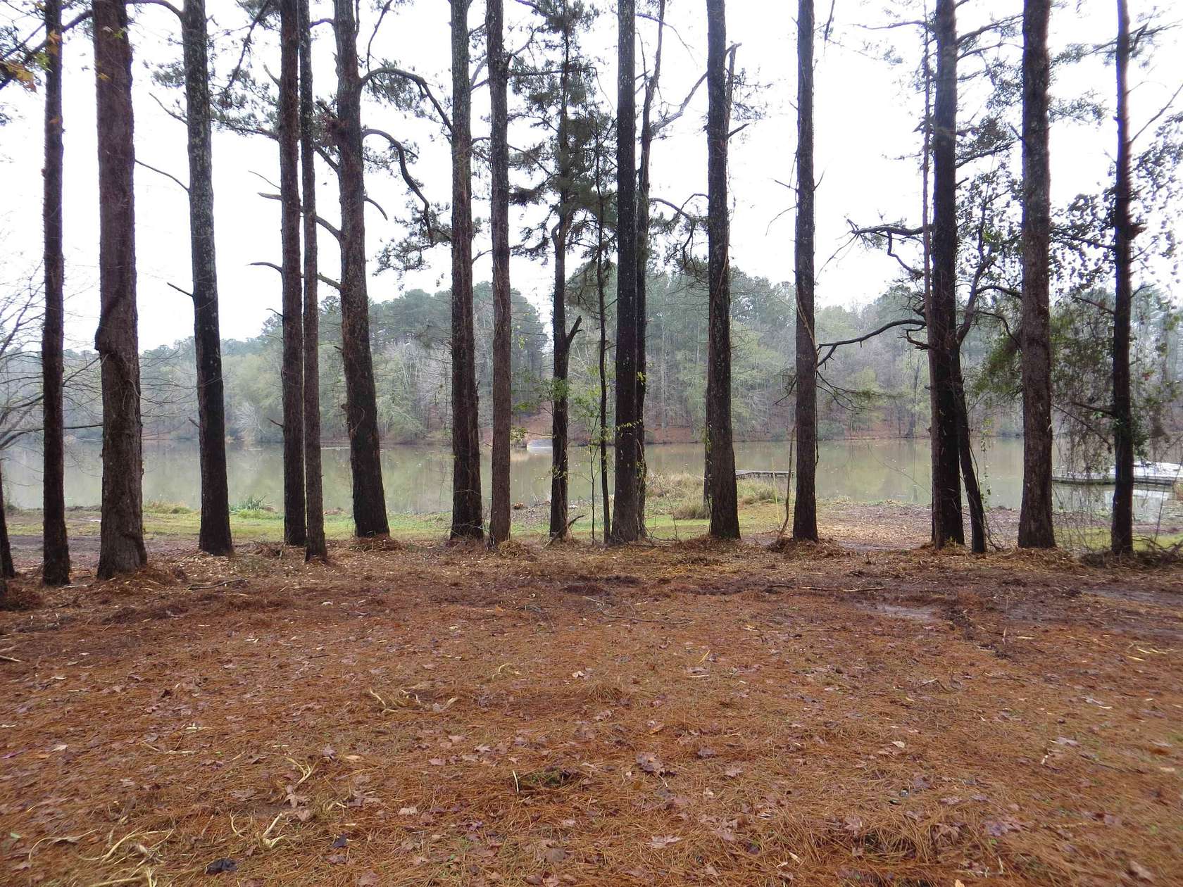 1 Acre of Residential Land for Sale in Buckhead, Georgia