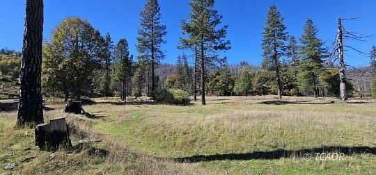 20 Acres of Recreational & Residential Land for Sale in Mad River, California