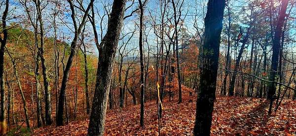 1.16 Acres of Land for Sale in Ranger, Georgia