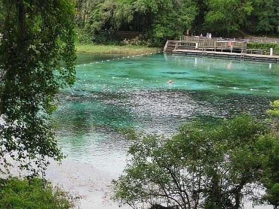 0.27 Acres of Residential Land for Sale in Ocala, Florida