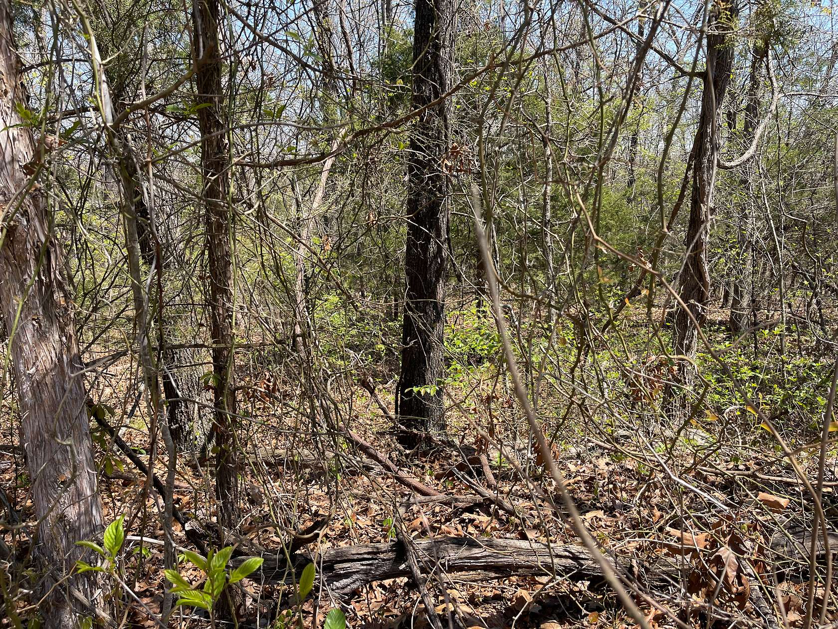 0.32 Acres of Residential Land for Sale in Horseshoe Bend, Arkansas