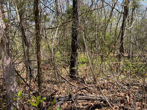 0.32 Acres of Residential Land for Sale in Horseshoe Bend, Arkansas